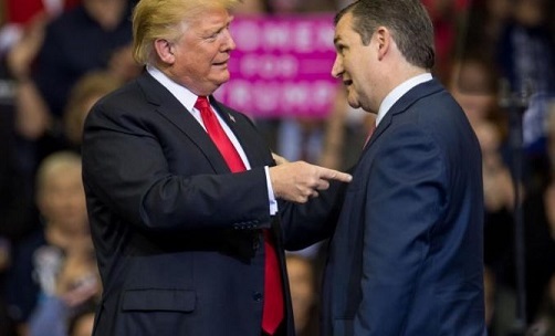 Trump Rally For Texas Ted Cruz