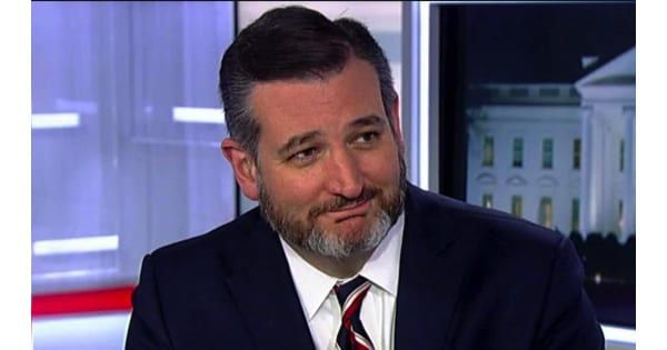 'Dems are the party of the rich': Ted Cruz points out who the GO