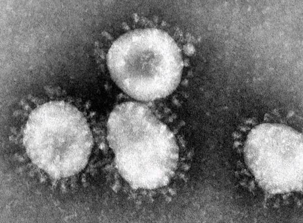 Stunning! Texas Coronavirus Numbers Show COVID-19 Less Lethal th