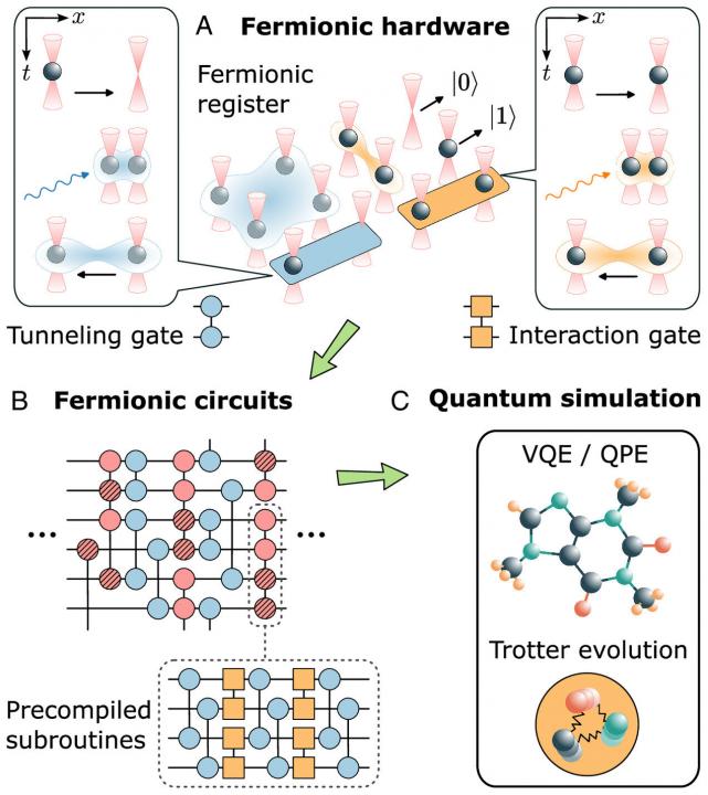 Scientists develop fermionic quantum processor