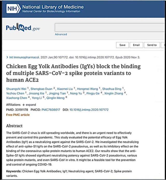 NIH Website Study Could Be Reason Why Chickens &amp; Eggs Have Been 