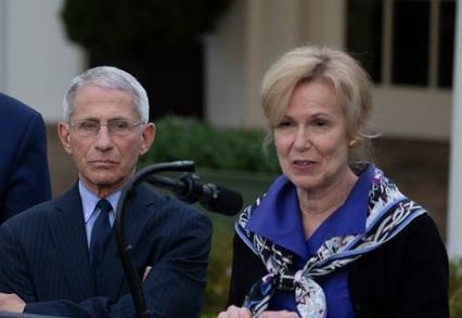 Will Dr. Fauci and Dr. Birx Serve Time in Prison for Destroying 