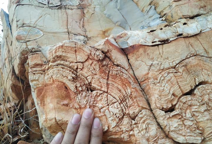 Tracing Earth's past in prehistoric rock deposits