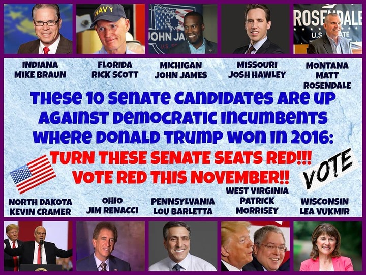 Freddy Lent on Instagram: “#MidtermElections #RedWaveInNovember #RedWave2018 #DonateMAGA #VoteMAGA”