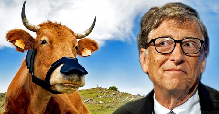 ‘Smart’ Masks for Cows? Gates Invests $4.7 Million in Data-Colle