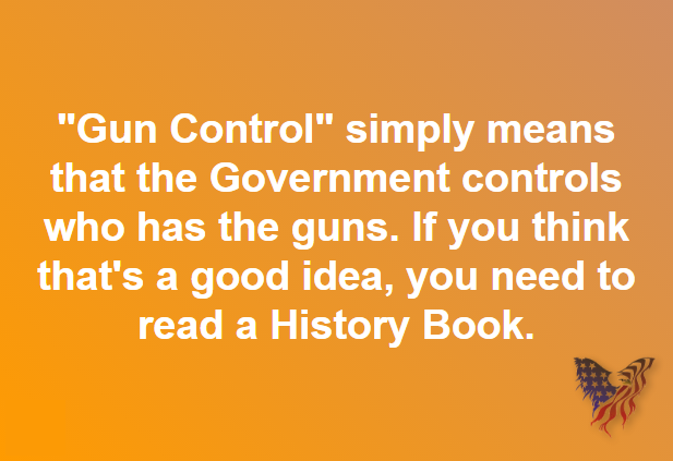 Gun Control - Common Sense Evaluation