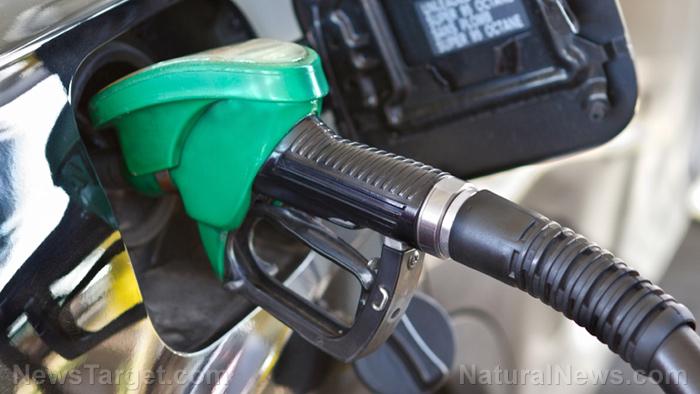 Price of diesel reaches all-time high – what will become of food