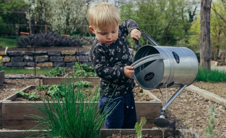 Why Gardening Could Save Your Life: Having a Green Thumb Could K