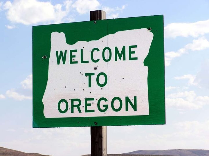 Oregon Legalizes Psychedelic Mushrooms, Decriminalizes Heroin, M