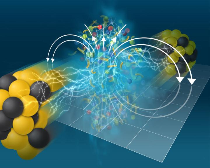 Super strong magnetic fields leave imprint on nuclear matter