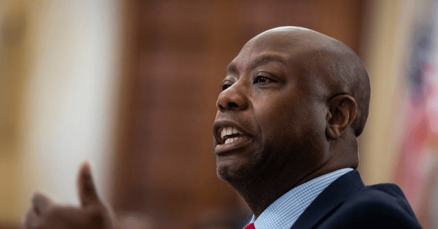 Tim Scott: Dems Blocked Police Reform Because of 'The Who That's