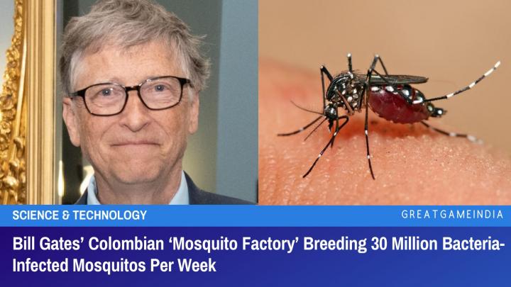 Bill Gates’ Colombian Mosquito Factory Breeding 30 Million Bacte