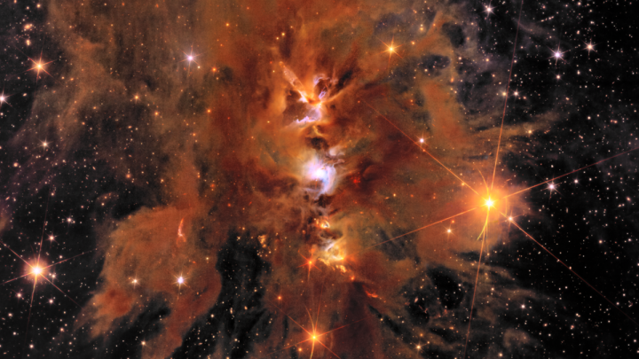 The Euclid 'dark universe detective' telescope has revealed new 