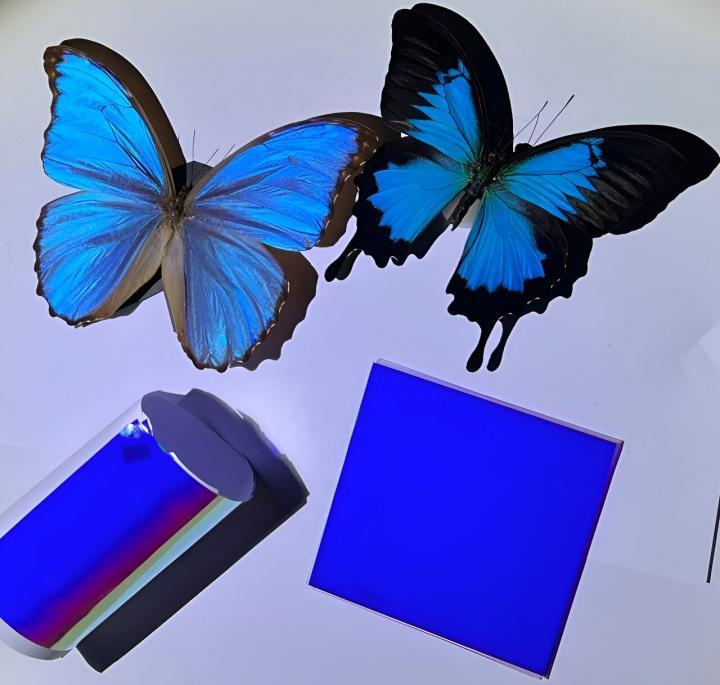 Butterfly-inspired films create vibrant colors while passively c