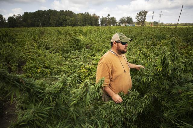 SC Hemp Farmer Sues State's Top Cops &amp; Prosecutors Over Unlawful