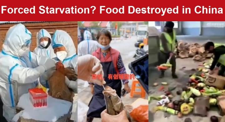 Destruction of Food Begins in Shanghai with Fences Installed to 