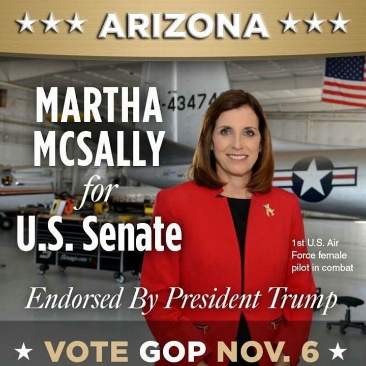 Freddy Lent on Instagram: “#Arizona #McSallyForSenate #VoteMAGA #DonateMAGA #Donate2KAG #MidtermElections #RedWave2018 #Winning”